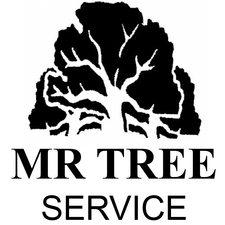 Avatar for Mr. Tree Service