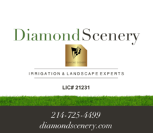 Diamond Scenery LLC logo