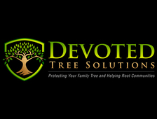 Devoted Tree Solutions logo