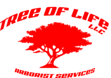 Logo for Tree of Life Arborist Services, LLC