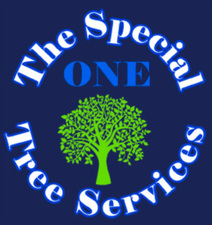 Avatar for The Special One Tree Services
