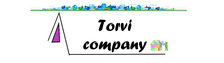 Torvi Company logo