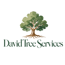 Avatar for David Tree Services, LLC