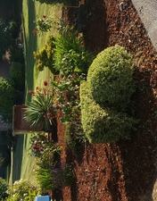 Logo for U GO GREEN Landscaping