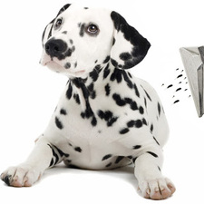 Folsom Lake Carpet Cleaning logo