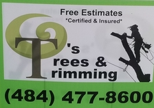T's Trees & Trimming logo