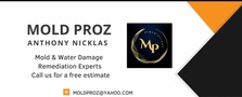 Avatar for Mold Proz