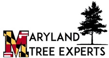 Avatar for Maryland Tree Experts - Facebook