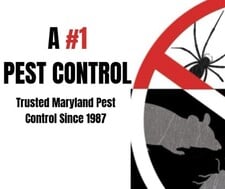 Avatar for A # 1 Pest Control