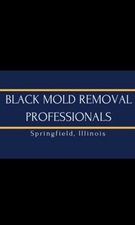 Avatar for Black Mold Removal Professionals of Springfield