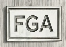 Avatar for FGA Enterprise of Tampa