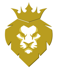 Avatar for Gold Standard Electric