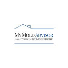 Avatar for My Mold Advisor