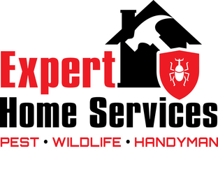 Expert Home Services logo