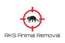 Avatar for Kolb Critter Prevention and Extermination
