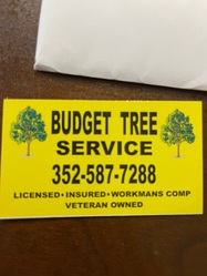 Budget Tree Service, LLC logo