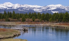 Montana Cool, Inc. logo