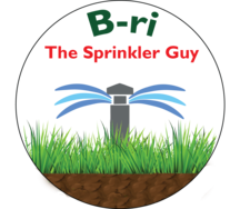 B-ri The Sprinkler Guy, LLC logo