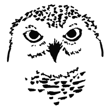 Davenport and Associates logo