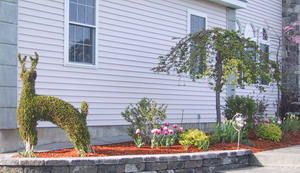 Expert Landscaping, Inc. logo