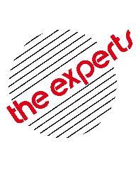 The Experts Painting, Inc. logo