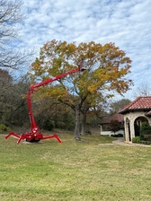 Avatar for Trinity Forest Tree Care LLC