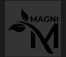 Avatar for Magni General Contracting