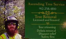 Logo for Ascending Tree Service