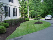 SJM Professional Grounds logo