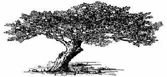 Dean Weiss Landscape, LLC logo