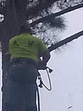Avatar for Smith Ridge Tree Service