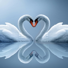 Avatar for Safe Swan