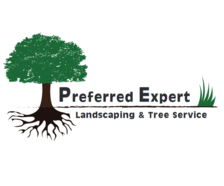 Avatar for Preferred Expert Landscaping & Tree Service