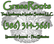 Logo for Grassroots Tree, Landscape, & Loader Services, LLC