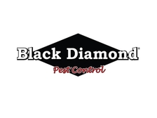 Avatar for Black Diamond River Cities
