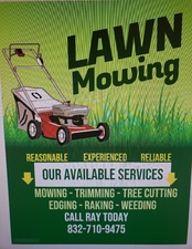 Avatar for Ray's Lawn Service