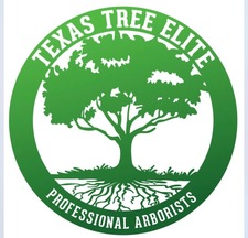 Avatar for Texas Tree Elite, LLC