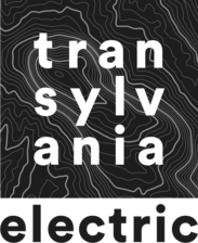 Logo for Transylvania Electric, LLC