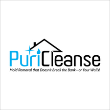 Puricleanse logo