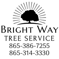 Logo for Bright Way Tree Service