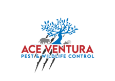 Avatar for Ace Ventura Pest and Wildlife Control, Inc.