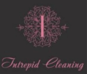 Intrepid Cleaning logo