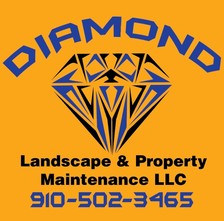 Diamond Landscape and Property Maintenance, LLC logo