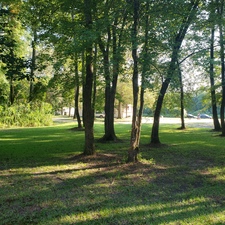 Boddie Landscaping logo