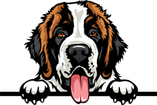Big Dog Mechanical, LLC logo