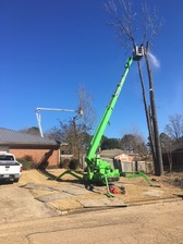 Logo for Mid State Tree Service
