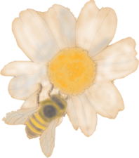 Avatar for Florida Rewilding Collective, LLC