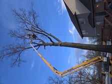 J&M Tree Service logo