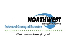 Northwest Professional Services, Inc. logo