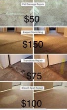 Avatar for A Carpet Specialists